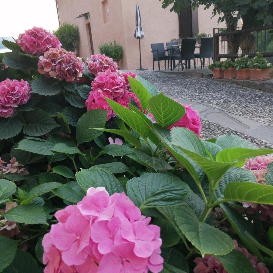 B&B Ronco Degli Ulivi Iseo Exterior foto