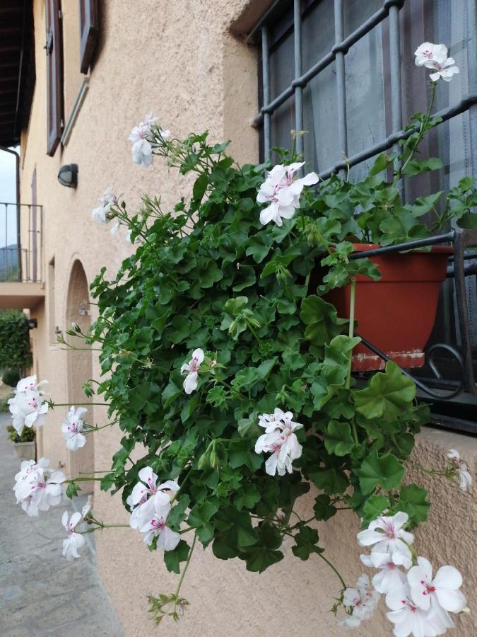 B&B Ronco Degli Ulivi Iseo Exterior foto